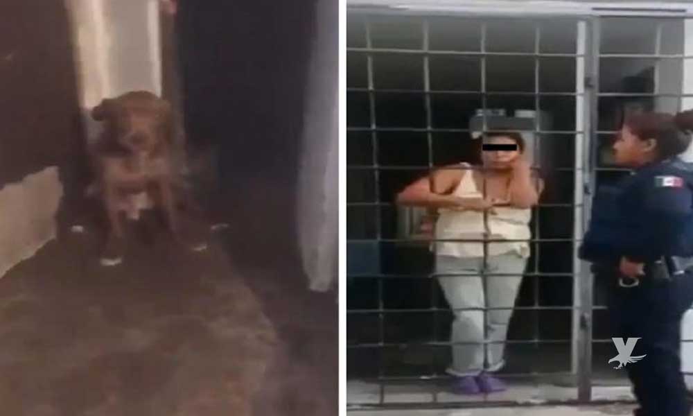 (VIDEO) Mujer mataba perros y vendía tacos con su carne