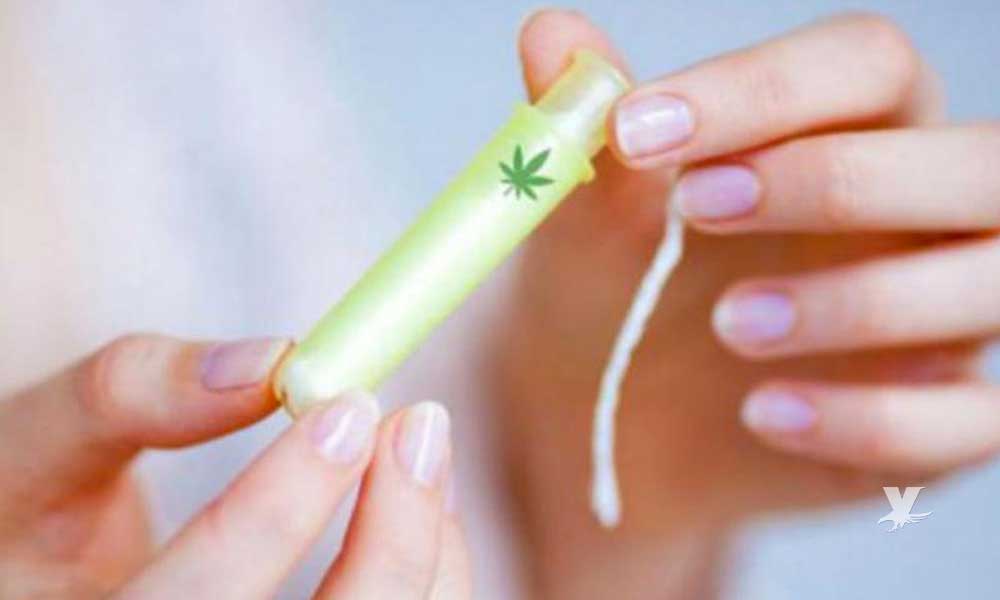 Crean “tampón” de marihuana para curar los cólicos menstruales