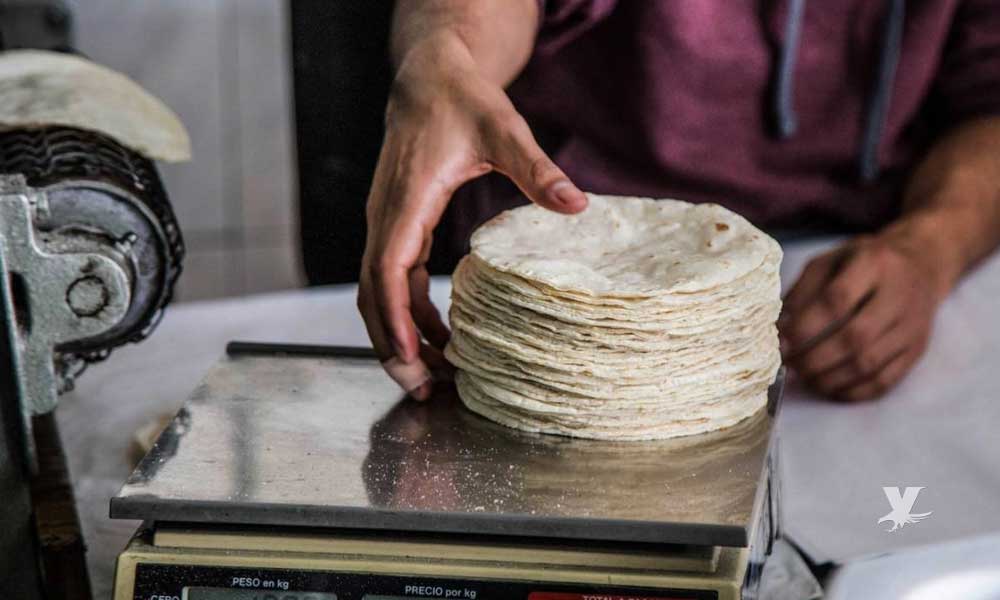 No hay justificación para subir precio de la tortilla: Profeco