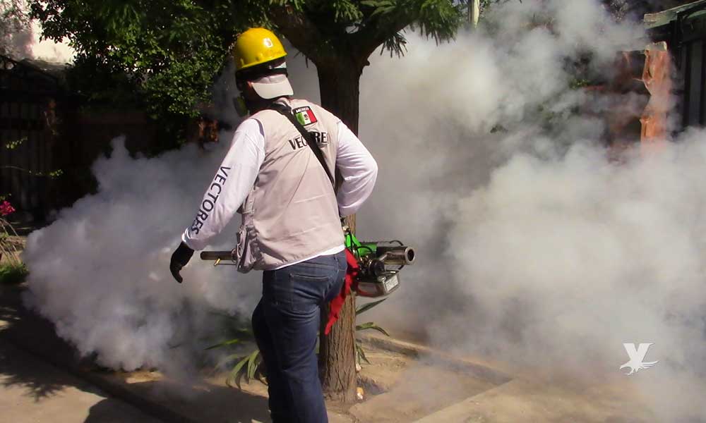 Se confirma primer caso de dengue autóctono en Baja California