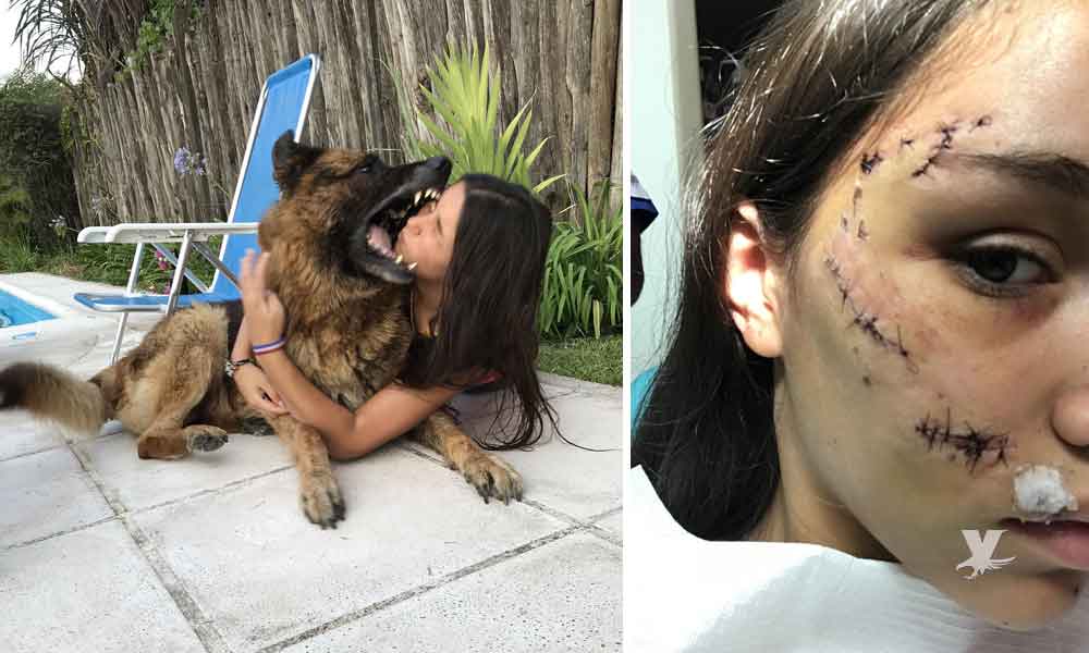 Mujer termina con el rostro destrozado al intentar tomarse una selfie con su mascota