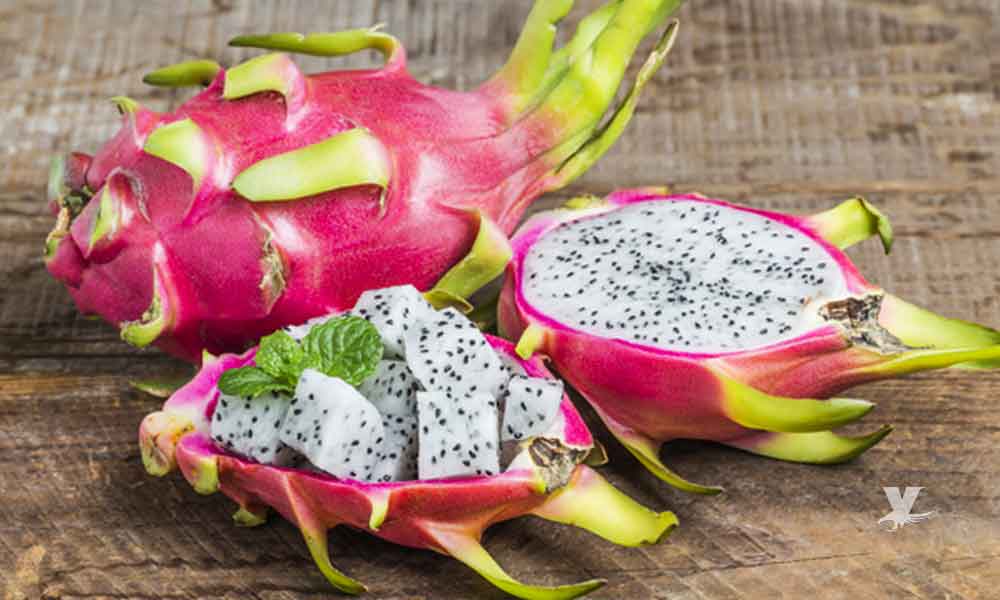 Comer pitahaya o fruta del dragón ayuda a prevenir el envejecimiento prematuro