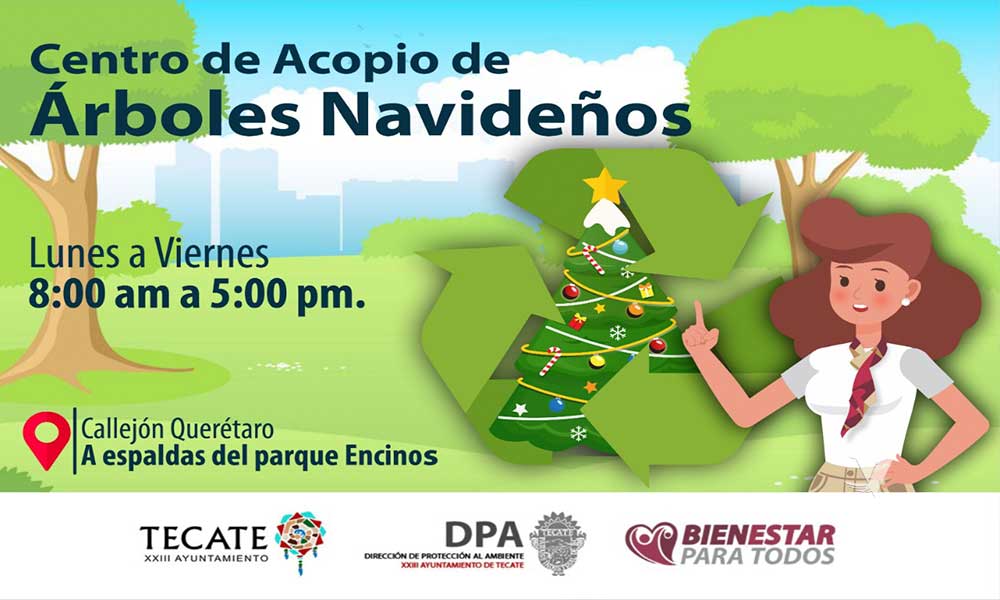 El XXIII Ayuntamiento de Tecate habilita  centro de acopio para arbolitos navideños