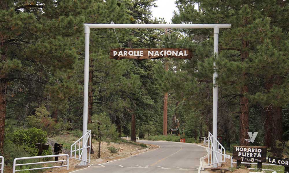 Emite Parque Nacional Sierra San Pedro Mártir recomendaciones para su visita en Semana Santa