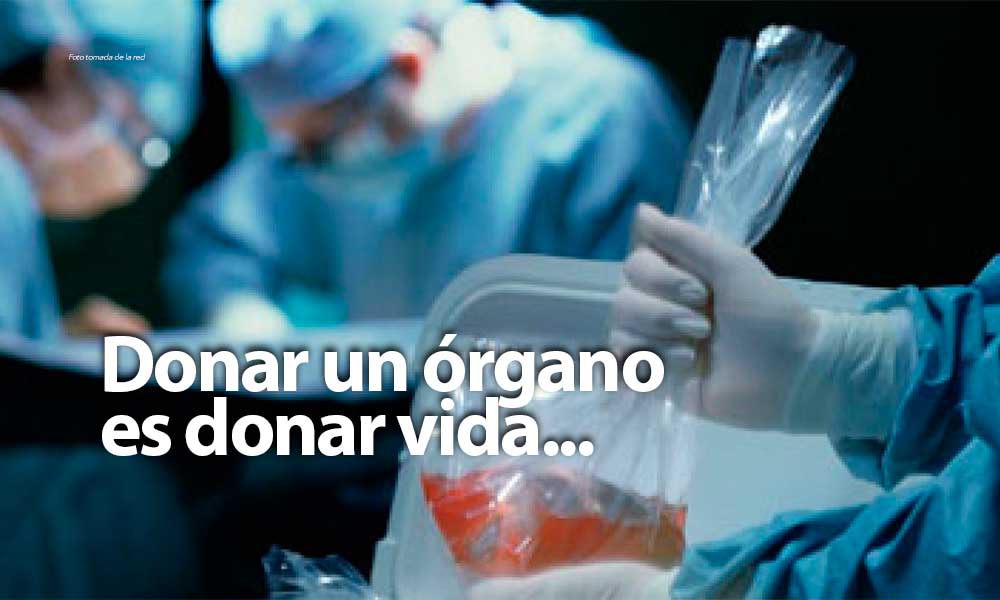 Promueve IMSS campaña permanente donación cadavérica de órganos; ha realizado mil 914 trasplantes este 2022