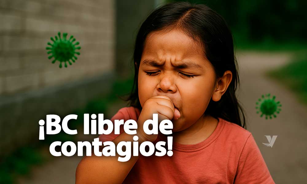 Primer caso de influenza aviar en personas en México: Niña en Durango ...